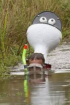 Image result for Bog Snorkelling Championships