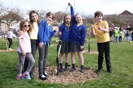 Image result for Gateshead Bowling Green Club