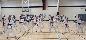 Image result for moray coast tang soo do