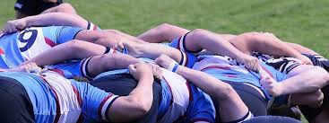 Image result for Wilmslow Rugby Union Football Club