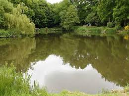 Image result for Crowborough & District Anglers Association