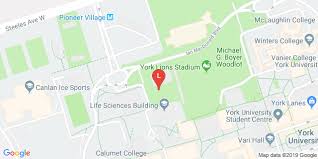 Image result for York University Tennis Club