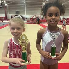 Image result for City Of Newcastle Gymnastics Academy