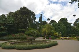 Image result for шри ланка королевский ботанический сад