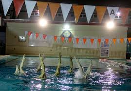Image result for Chippenham Synchronised Swimming Club