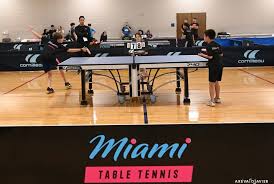 Image result for Generation 2 Table Tennis Club