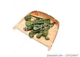 Attēlu rezultāti vaicājumam “Brassica napus fruit”