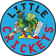 Image result for St Ives Cricket Club