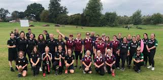 Image result for Chelmarsh Cricket Club