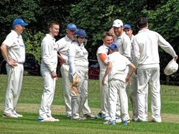 Image result for Nazeing Common Cricket Club