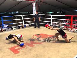 Image result for Kao Loi Thai Boxing