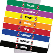 Image result for Skillz Martial Arts