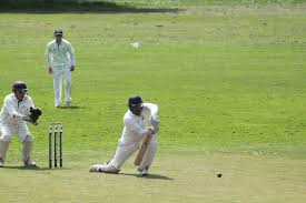 Image result for Wonersh Cricket Club