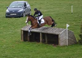 Image result for Jp-Sheffield Eventing