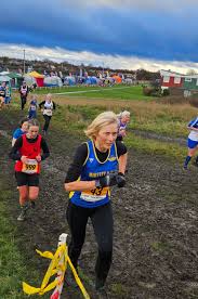 Image result for Birtley Athletics Club