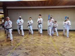 Image result for Backwell Karate