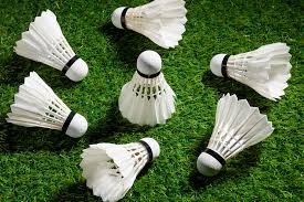 Image result for Huddersfield New Originals Badminton Club