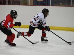Image result for Streatham Youth Ice Hockey Club