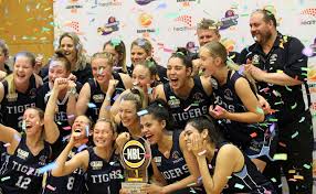 Image result for Everton Tigers Basketball Club