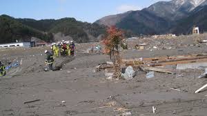 Image result for 耐震 大津波無力