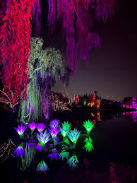 Image result for Holly Lane Badminton Club