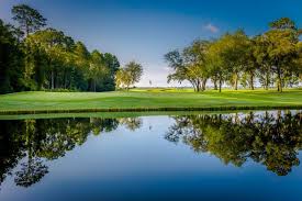 Image result for hallcross jfc