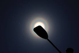 Attēlu rezultāti vaicājumam “pollen corona”