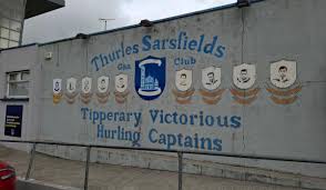 Image result for Sarsfields Hurling Club