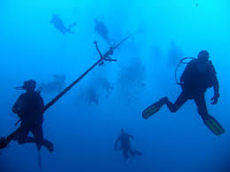 Image result for Leicester Underwater Exploration Club