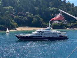 Image result for Salcombe Yacht Club