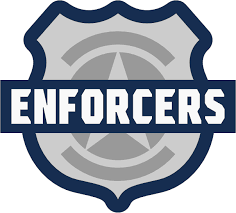 Image result for Enforcers