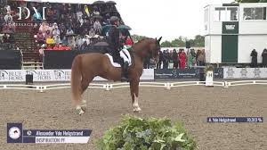 Image result for Interfreestyle Sport Karate