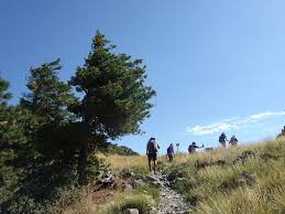 Image result for Southern Trekking and Mountaineering Club