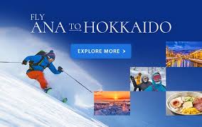 Image result for ana