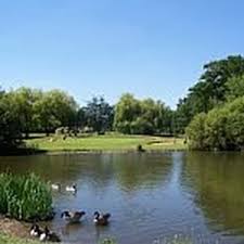 Image result for The West Middlesex Club Ltd