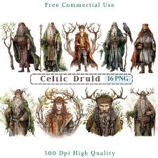 Image result for druid