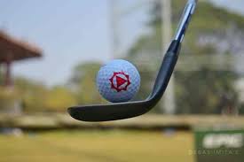Image result for ProTouch Golf