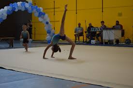 Image result for Lynx Gymnastics Club