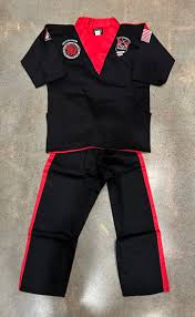 Image result for Red Dragon Taekwondo club