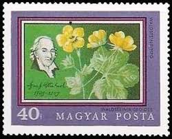 Attēlu rezultāti vaicājumam “Waldsteinia geoides flower”