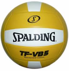 Image result for Spalding Saracens Volleyball Club