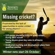 Image result for Tadworth Cricket Club