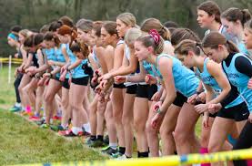 Image result for Taunton Athletics Club