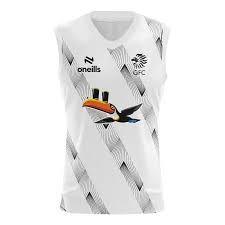 Image result for Garryowen Gfc