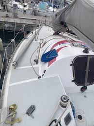 Image result for Pogo minitransat