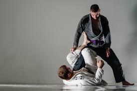 Image result for Ryusui-ryu Martial Arts School East Grinstead