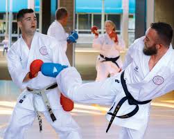 Image result for Maidenhead Karate Club