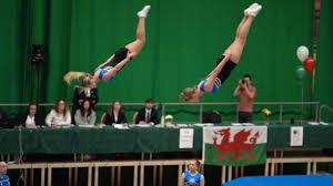 Image result for Cardiff Olympic Gymnastics Club