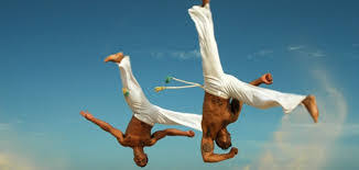Image result for Brazilian-martial arts