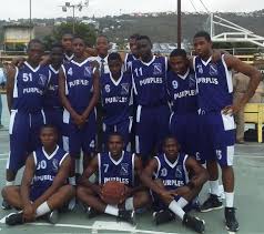 Image result for Kingston Wildcats Basketball Club